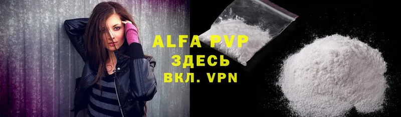 Alfa_PVP СК Череповец