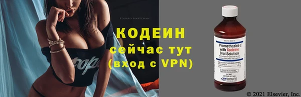 шишки Рославль