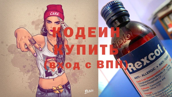 шишки Рославль