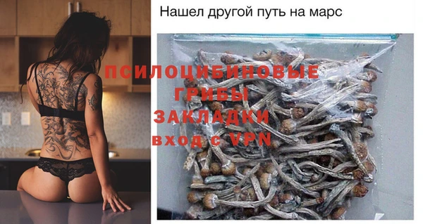 шишки Рославль