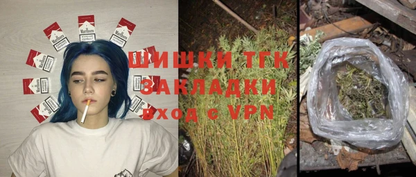 шишки Рославль