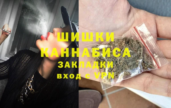 шишки Рославль