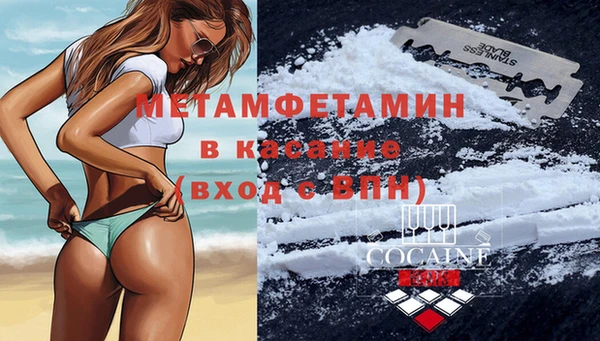 шишки Рославль