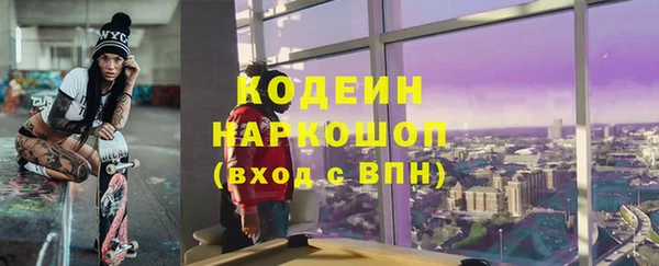 шишки Рославль