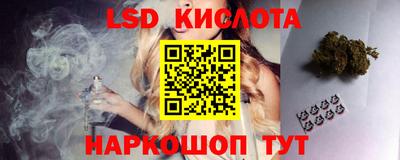 стаф Бийск