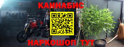 стаф Бийск