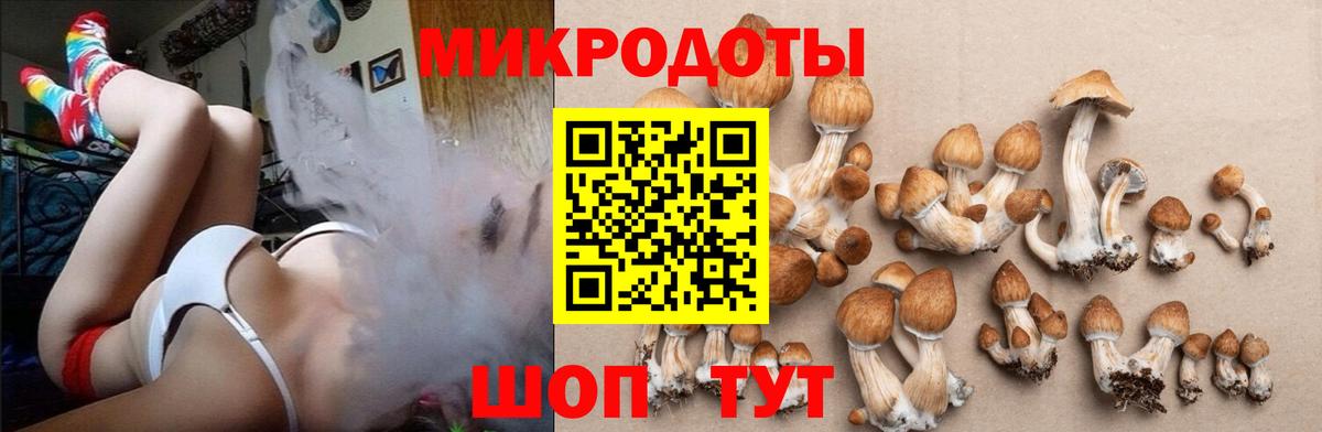 Череповец  Псилоцибиновые грибы Magic Shrooms  Вход с VPN 